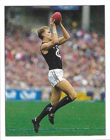 1994 Select AFL Stickers #45 Brett Sholl Front